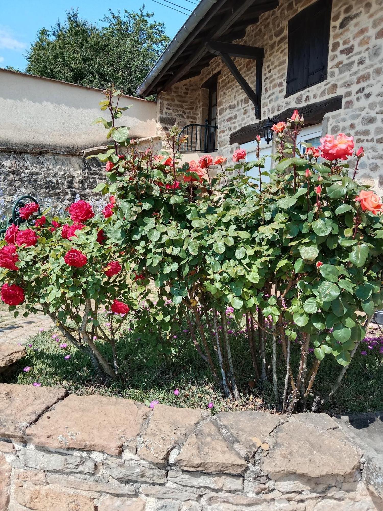 L Olivier De St Leger Bed and Breakfast Chateau  Εξωτερικό φωτογραφία